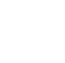 La Flèche Bisontine