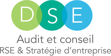 DSE Audit & Conseil